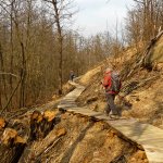 Un tratto della lunga passerella in legno